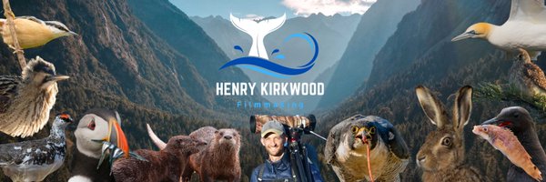 Henry Kirkwood Filmmaking Profile Banner