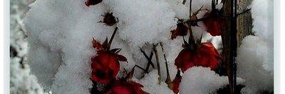 r_d3838's profile banner image