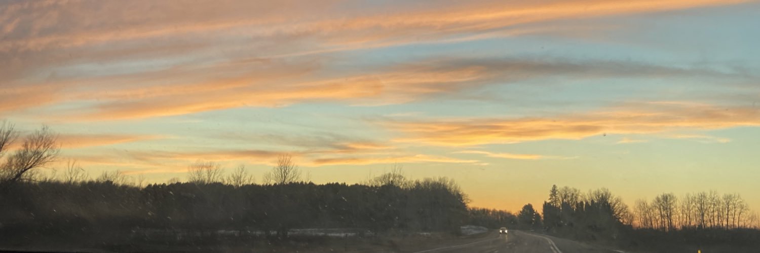MsSylvesterMath's profile banner image