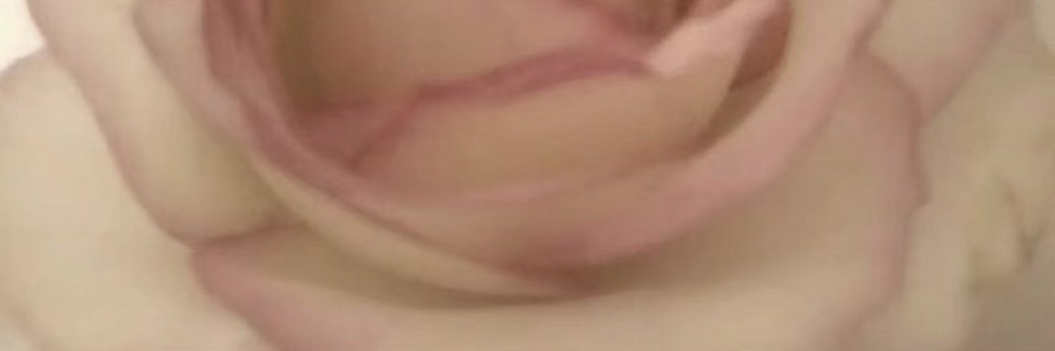 dy256's profile banner image