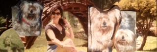 ZaraSadowsky's profile banner image