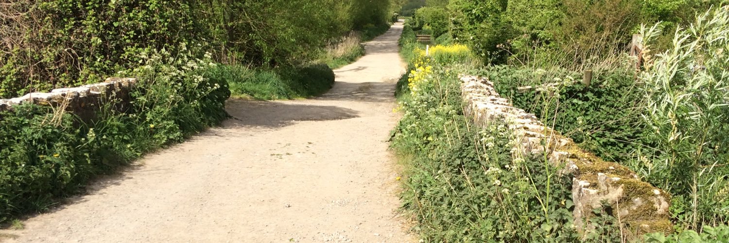 AL-P #FBPE 3.5% I Tweet therefore I am.💙🐝 banner