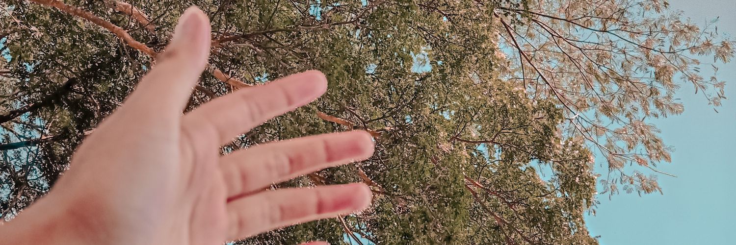 Nikithawyd's profile banner image