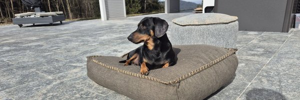 rudifussi Profile Banner