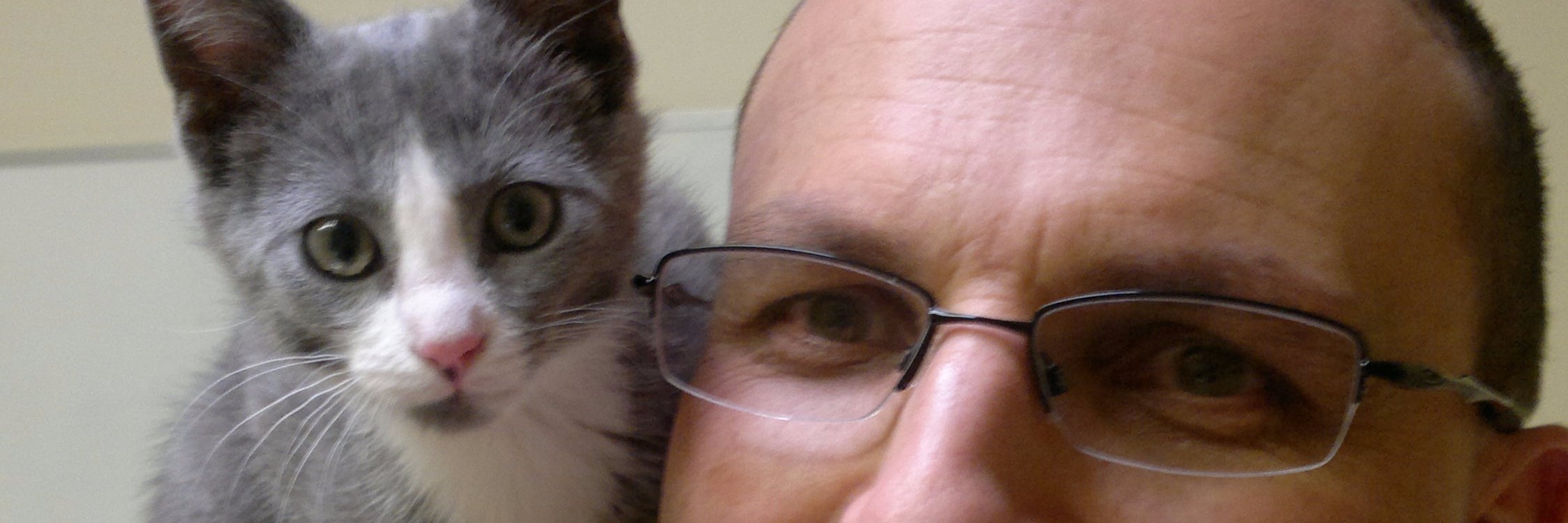 ManWithTheCats's profile banner image