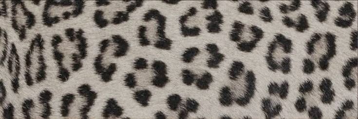 ؘ banner