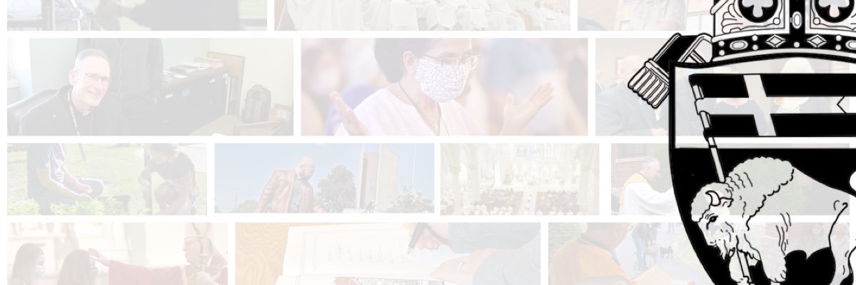 Diocese of Buffalo banner