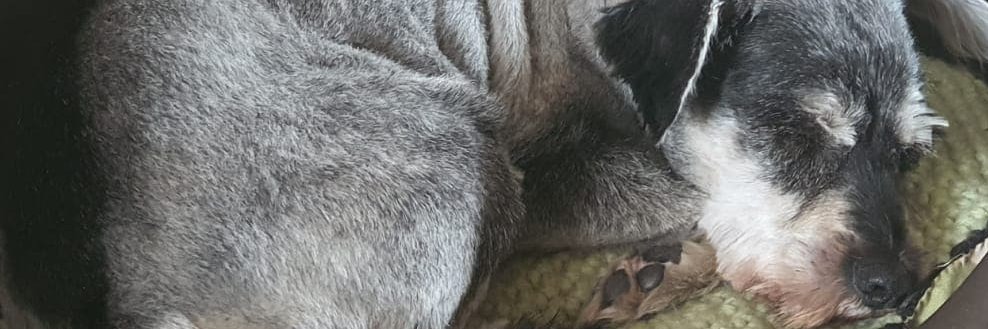 _richCS's profile banner image