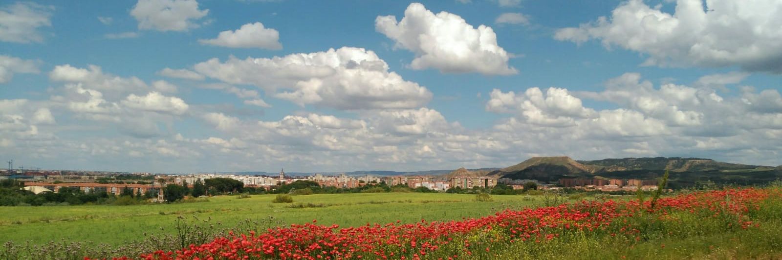 Jesus Dominguez 🇪🇸 ن✝ banner