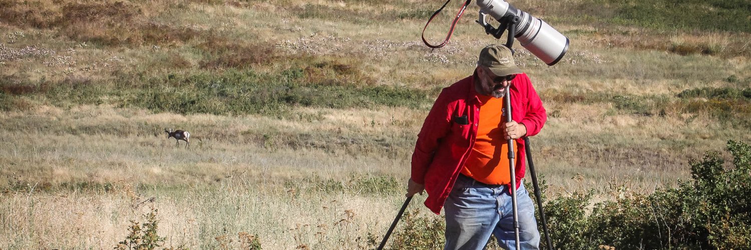 Michael Mauldin banner