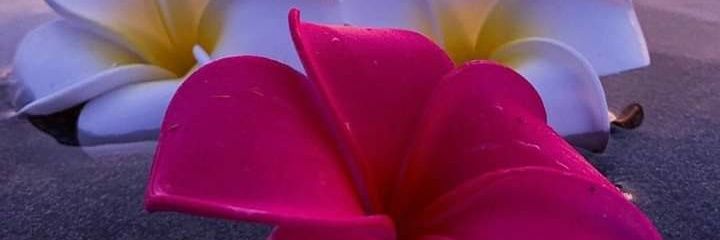 kallender7234's profile banner image