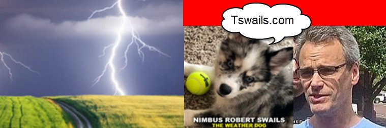 terryswails's profile banner image