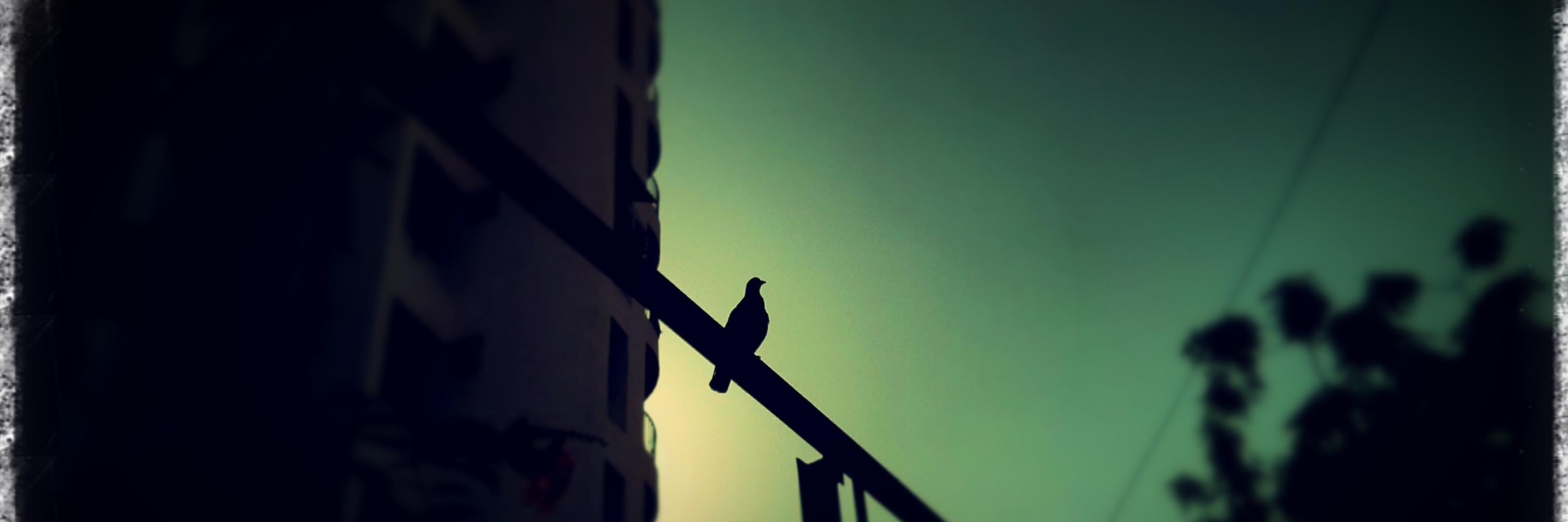 DevangHPipaliya's profile banner image
