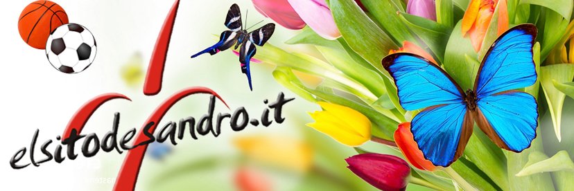 Elsitodesandro's profile banner image
