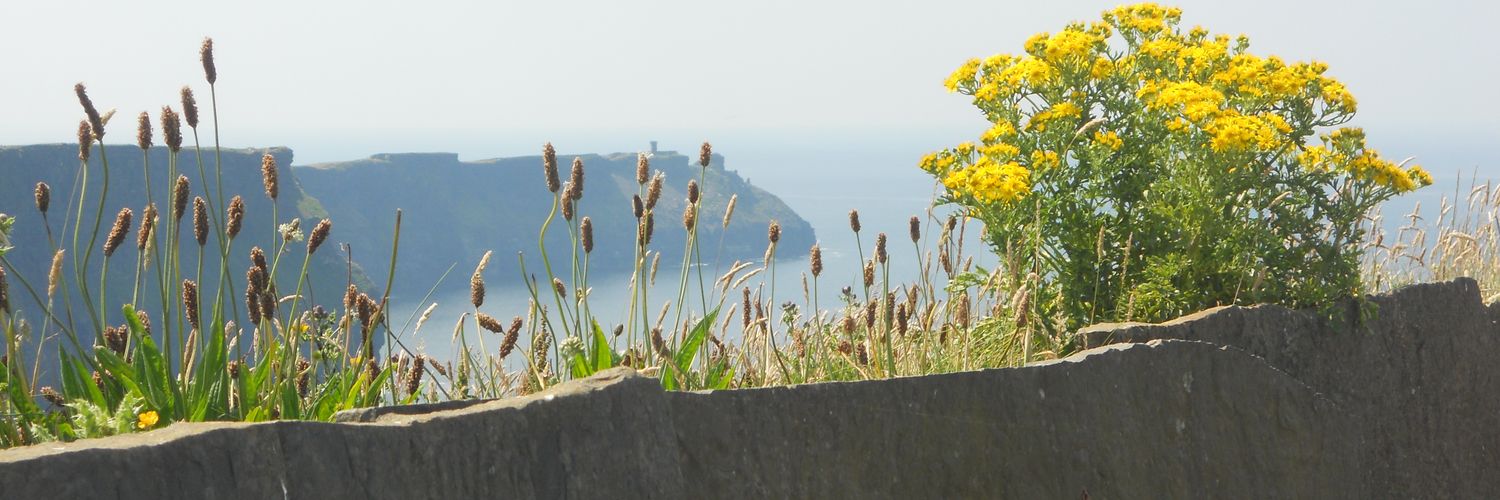 MaryTK14's profile banner image