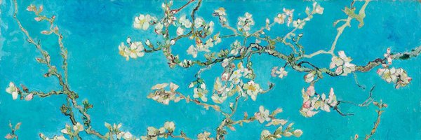 begoniatree Profile Banner