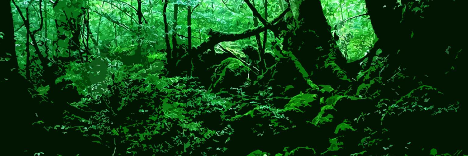 あさぶん banner