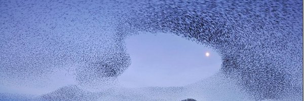 samchaltain Profile Banner