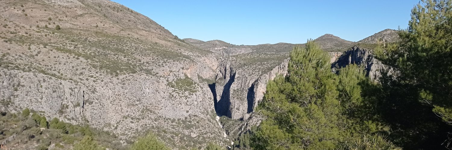 Joanenes's profile banner image