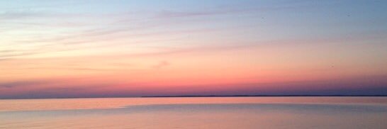 MorganMcD1's profile banner image