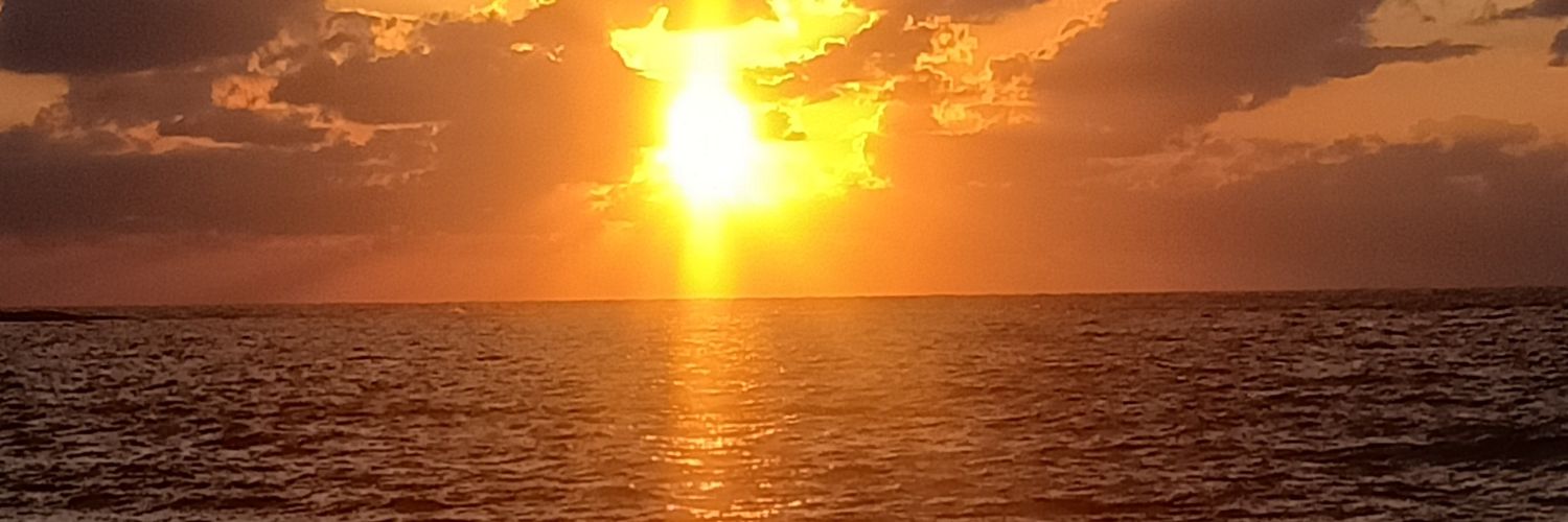 hadykhalefa1's profile banner image