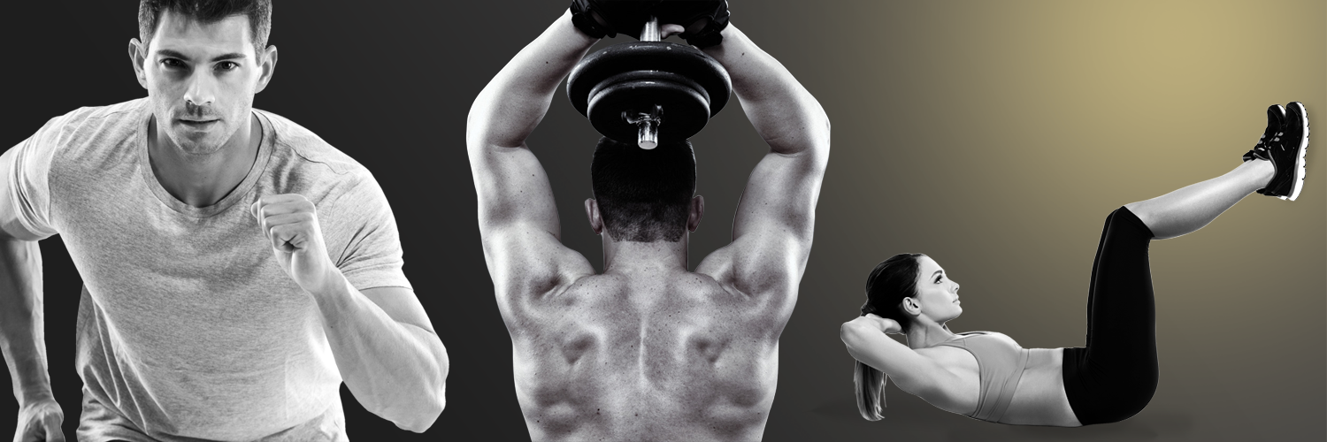 iMuscle2's profile banner image