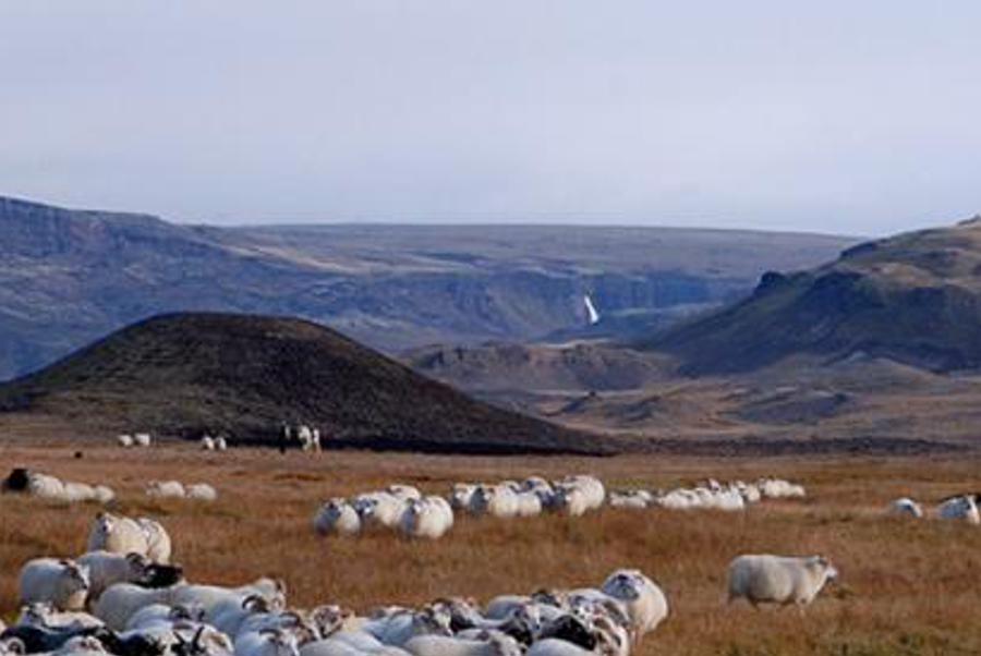 ontars's profile banner image