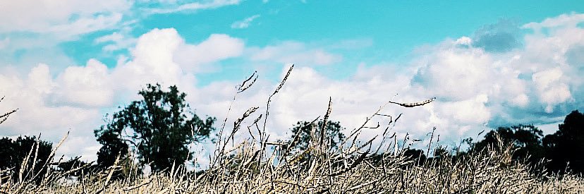 vi_c_ky's profile banner image