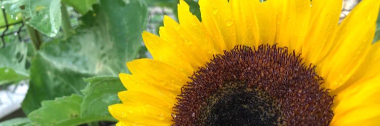 a_chu0506's profile banner image
