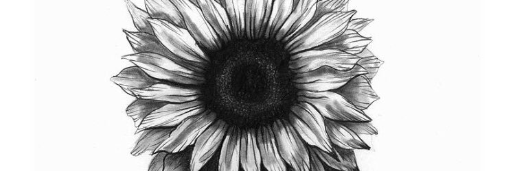 COL banner