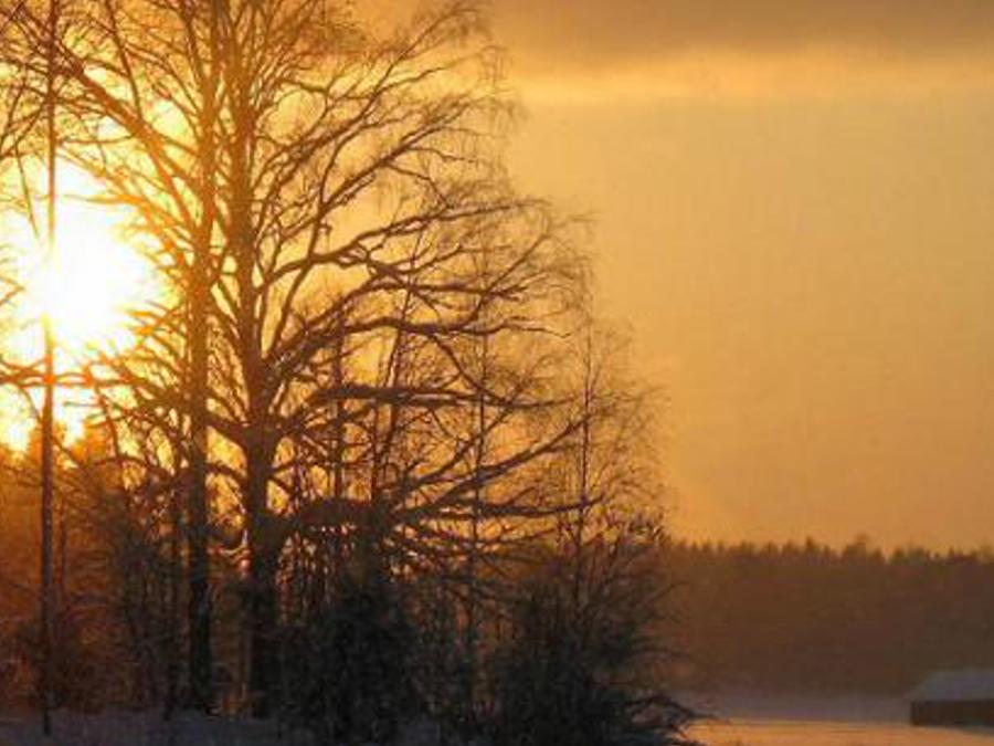 fissinging's profile banner image