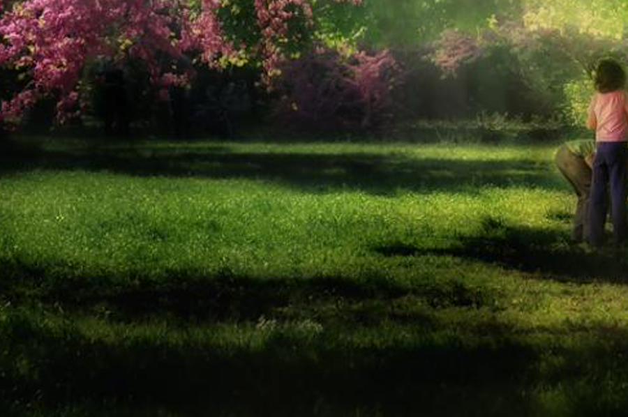 cisstis's profile banner image