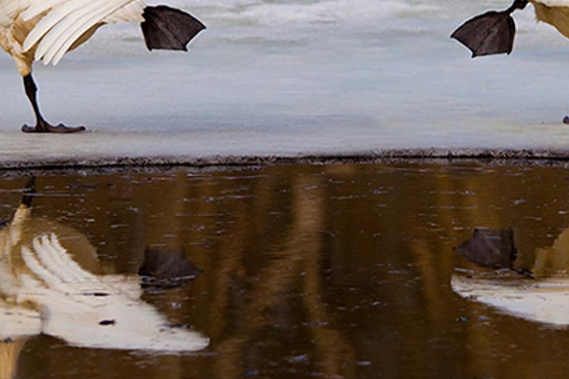uinidisti's profile banner image