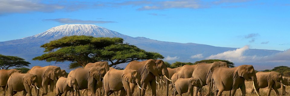 Jumsyd255's profile banner image