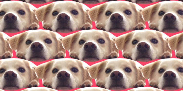 SYK_ARI's profile banner image