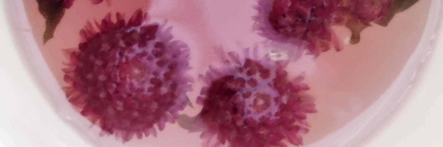 camugiri's profile banner image