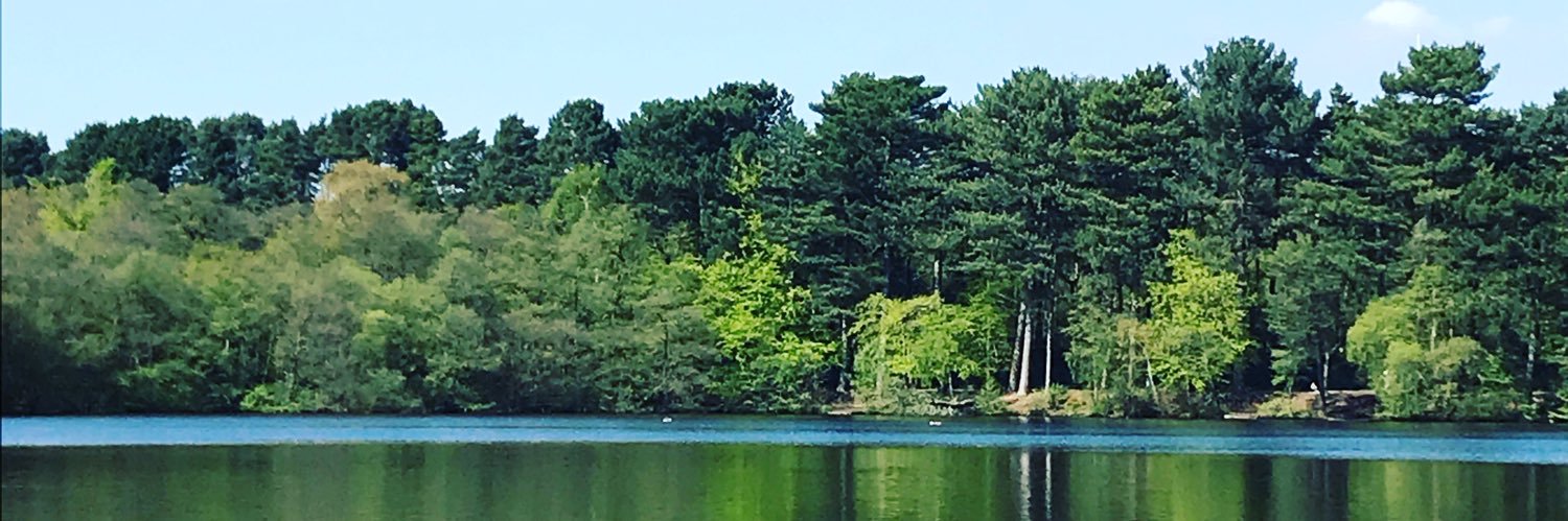 rolling_ryan's profile banner image