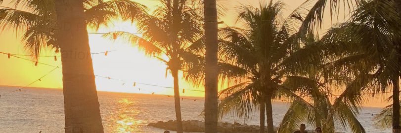haley_brogden's profile banner image