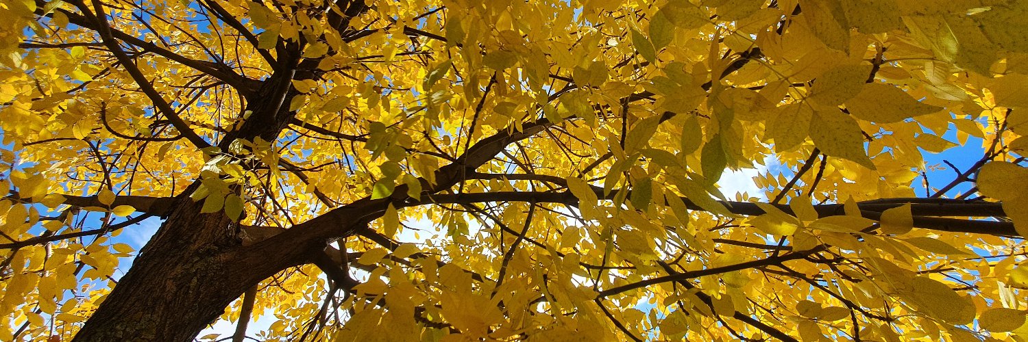 Juan Ramón Cabrera banner