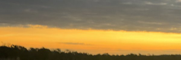 malugaspar Profile Banner