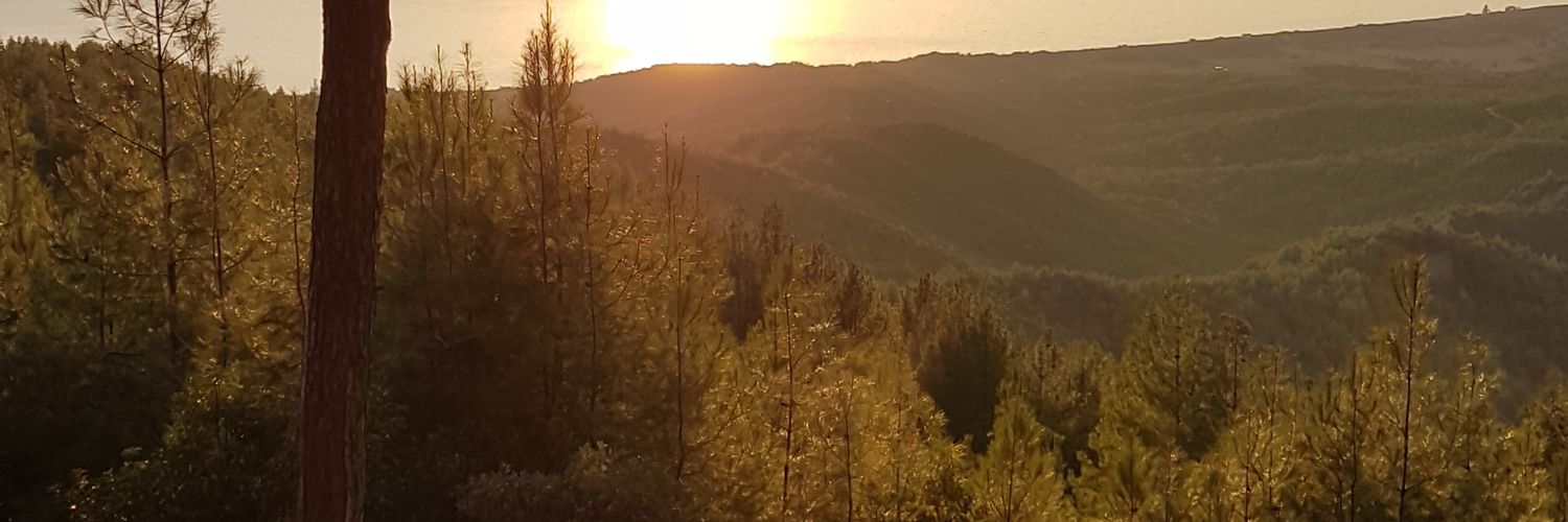 ali79_'s profile banner image