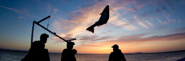 EDFOceans Profile Banner