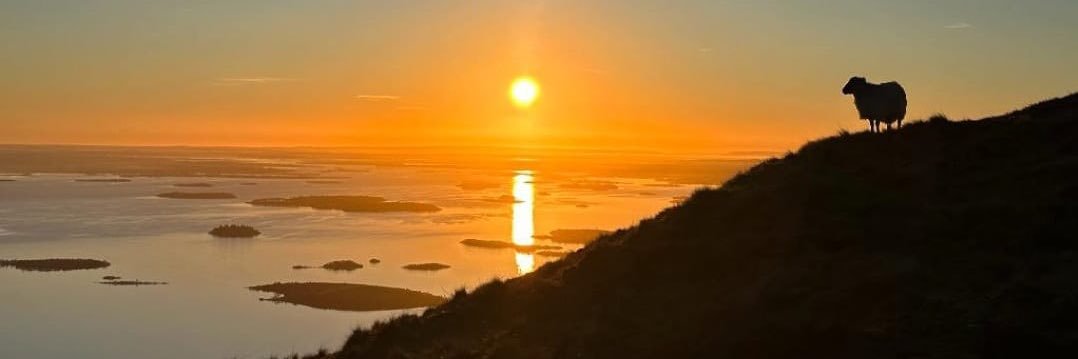 WalterHolleran's profile banner image