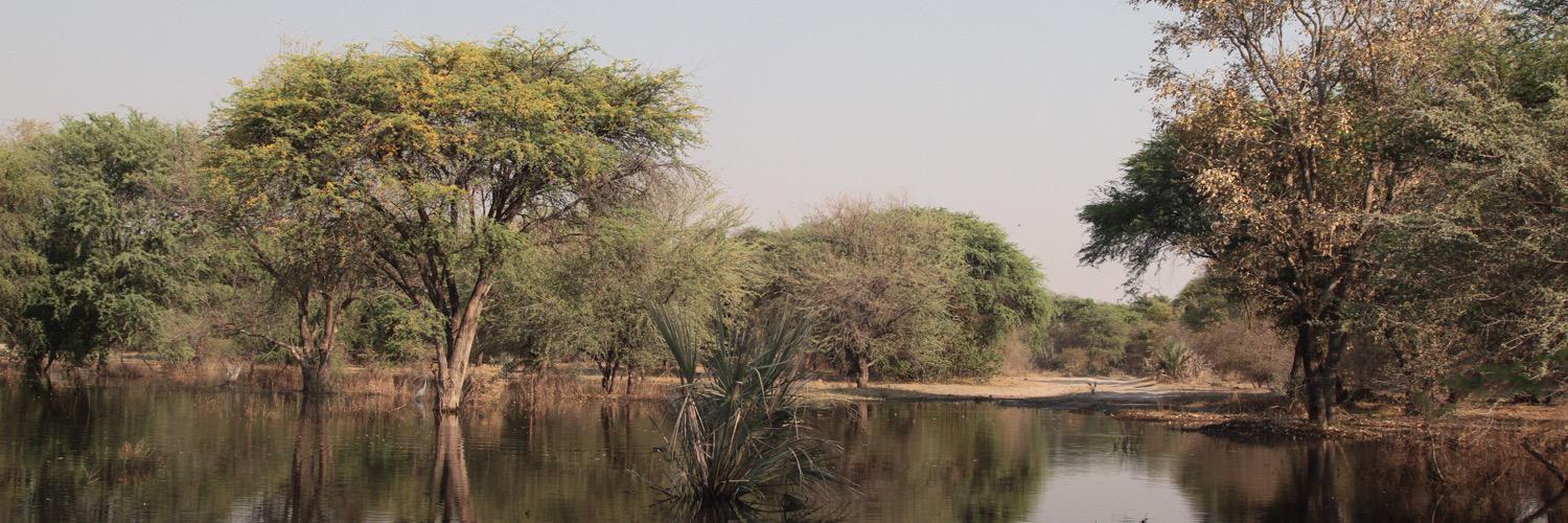 Bushbuck_ridge's profile banner image
