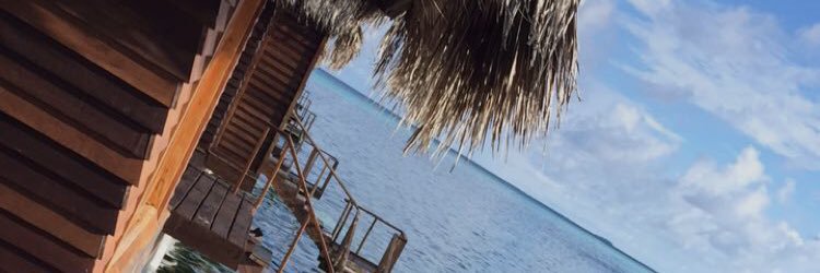 msamyvang's profile banner image