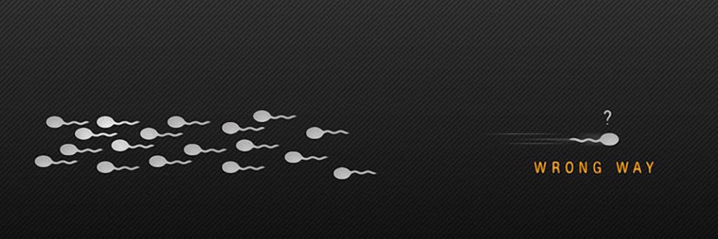 LoBsOu's profile banner image