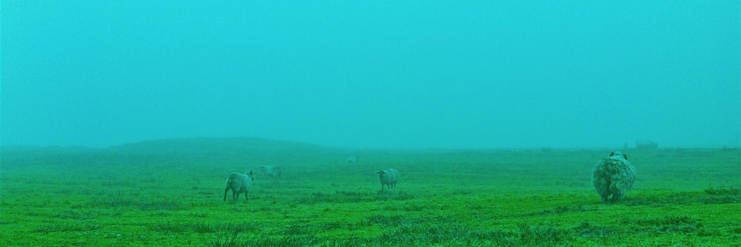 csnowsays's profile banner image