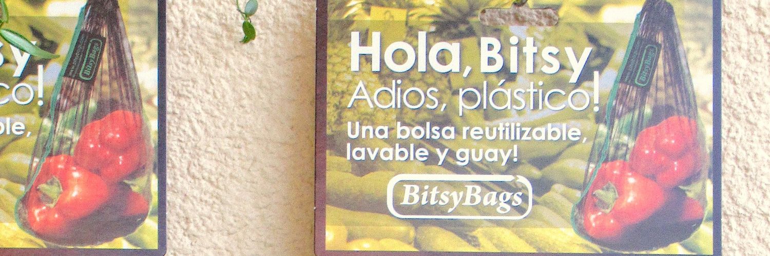 bitsybag's profile banner image