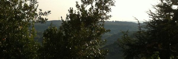 MorganMarcos Profile Banner