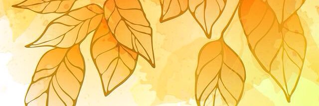 Frenchie282's profile banner image